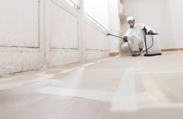 24/7 Emergency Basement Mold Remediation experts in Huntingdon, PA