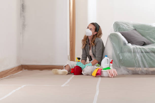 Reliable Basement Mold Remediation contractor in Huntingdon, PA by WQB Mold Removal